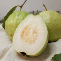 Pearl Guava