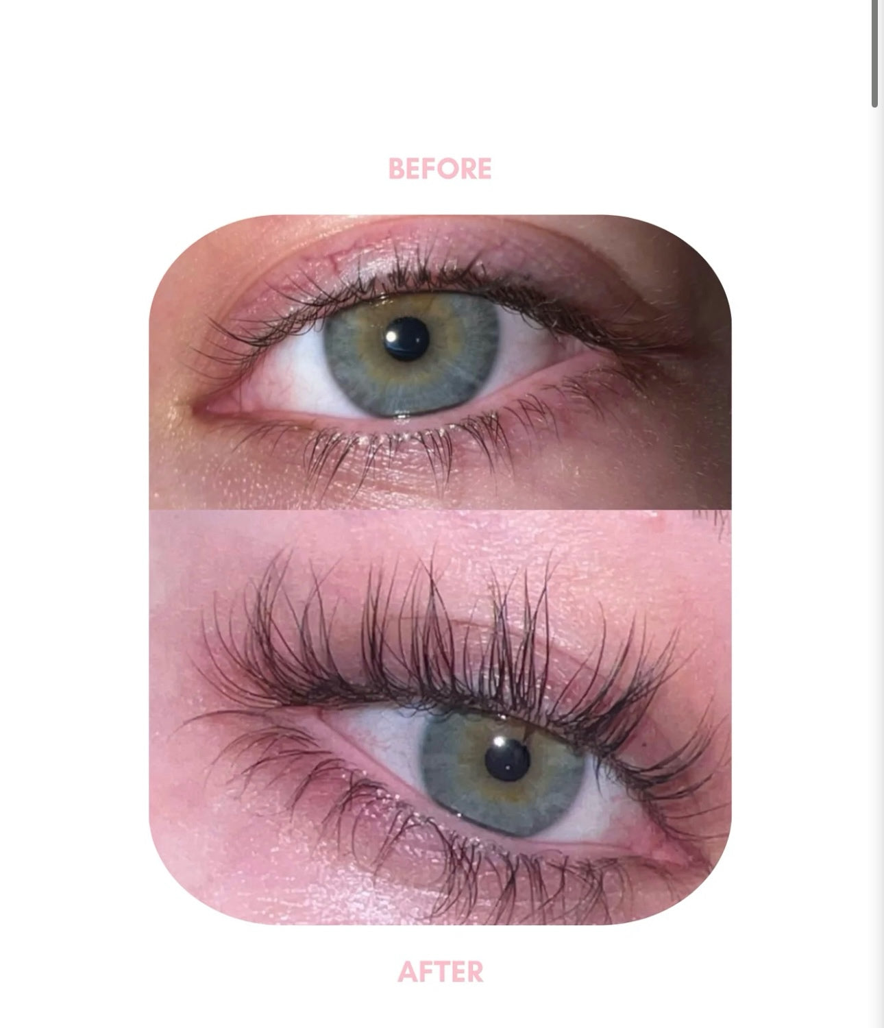 BIOAOUA Lash Serum