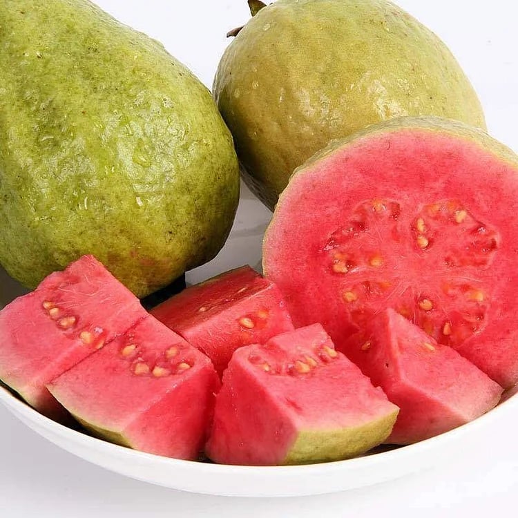 🔥Hot Sale 49%💚 Organic Guava Seeds🌱 Easy Grow