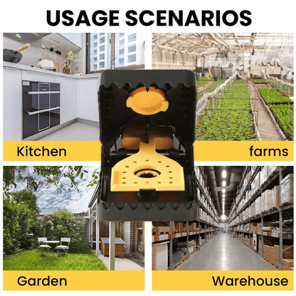 Clips Mouse Glue Traps Mouse Rat Deterrent-4PCS