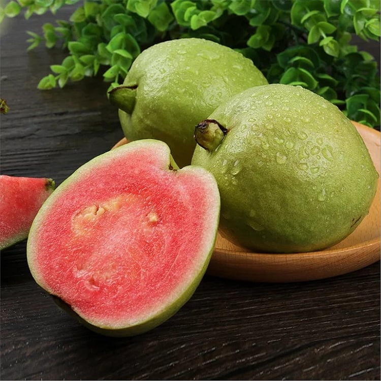 🔥Hot Sale 49%💚 Organic Guava Seeds🌱 Easy Grow