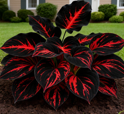 🔥🌌 Glow-in-the-Dark Garden Magic: 🌌Hosta Seeds Perennial Shade Plant